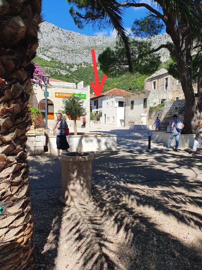 Villa Dardona Drvenik Drvenik  Εξωτερικό φωτογραφία